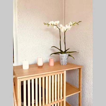 La Petite Pinede Studio Climatise Proche Plage Sanary-sur-Mer Exterior photo